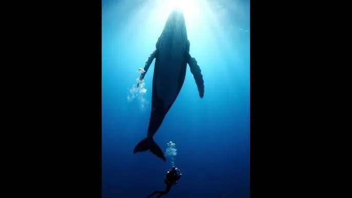 男生女生一起差差差很痛免费 - 深蓝星球：探索海洋深处的未知世界